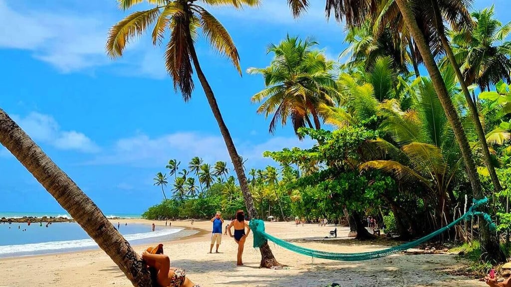 Praia de Coqueirinho Conde - PB, 58322-000, -7.329597962850552, -34.795115159859584