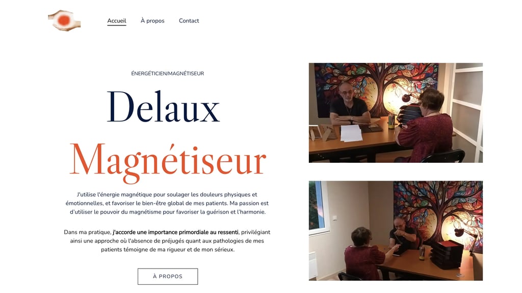 Delaux Magnétiseur