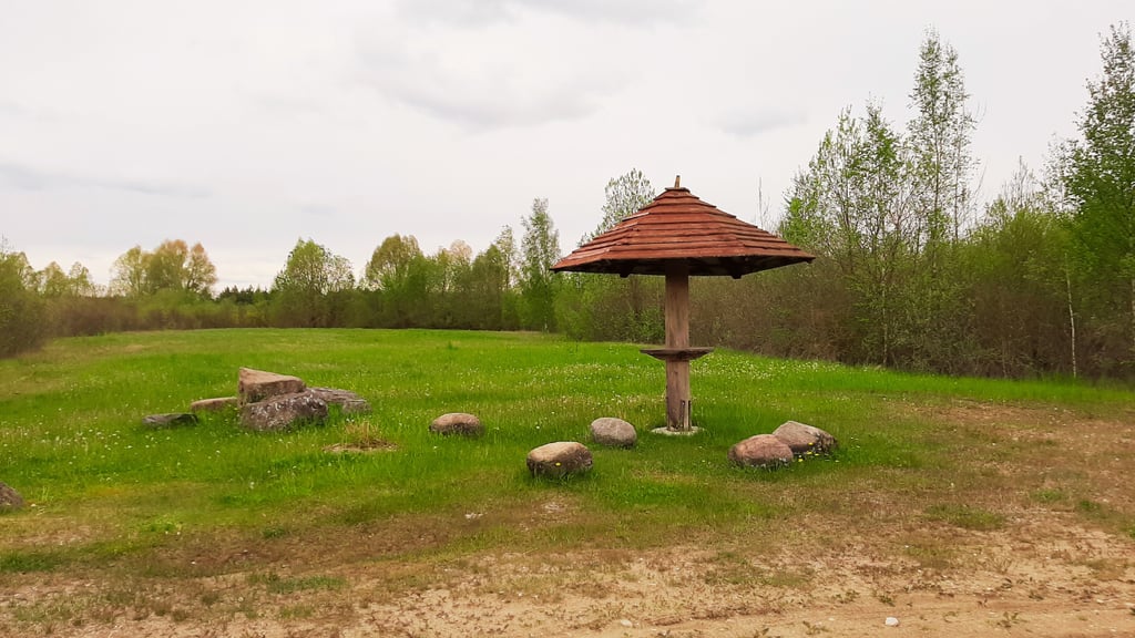 Diemedžiai