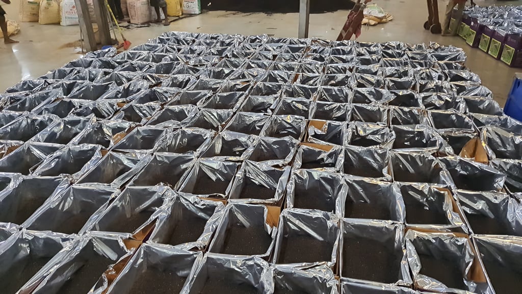 Tea Export Bir Global Group