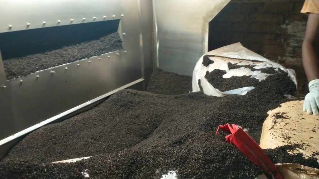 Bir Global™ Group Export