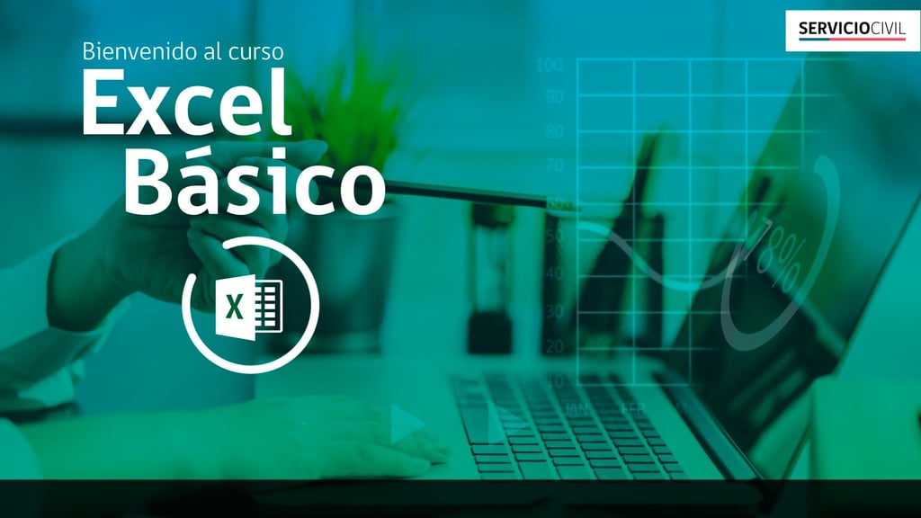 Servicio Civil - Curso Excel Básico
