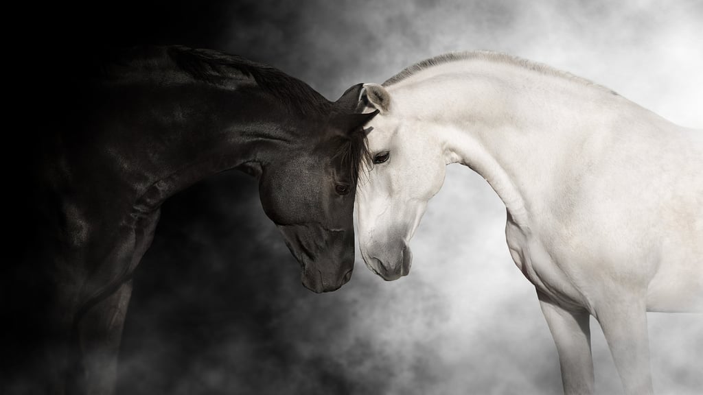 a horse and a horse are shown in this image