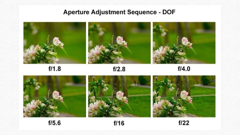 Hướng dẫn lựa chọn khẩu độ tối ưu cho từng chủ đề nhiếp ảnh khác nhau