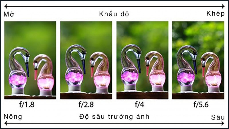 Tìm hiểu định nghĩa khẩu độ là gì và cách hoạt động của ống kính