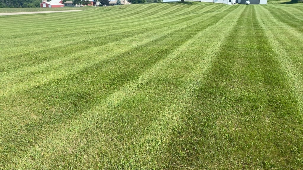 Beautiful striped lawn 