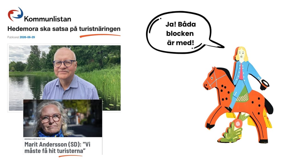 Hedemoras politiker