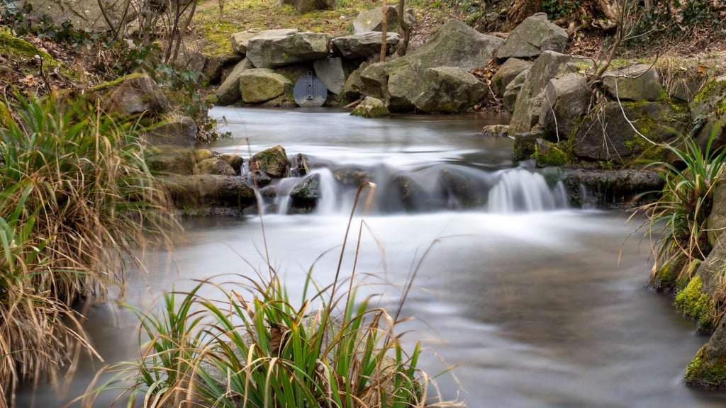 Bachlauf mit Langzeitbelichtung, weiches Wasser zwischen moosigen Steinen