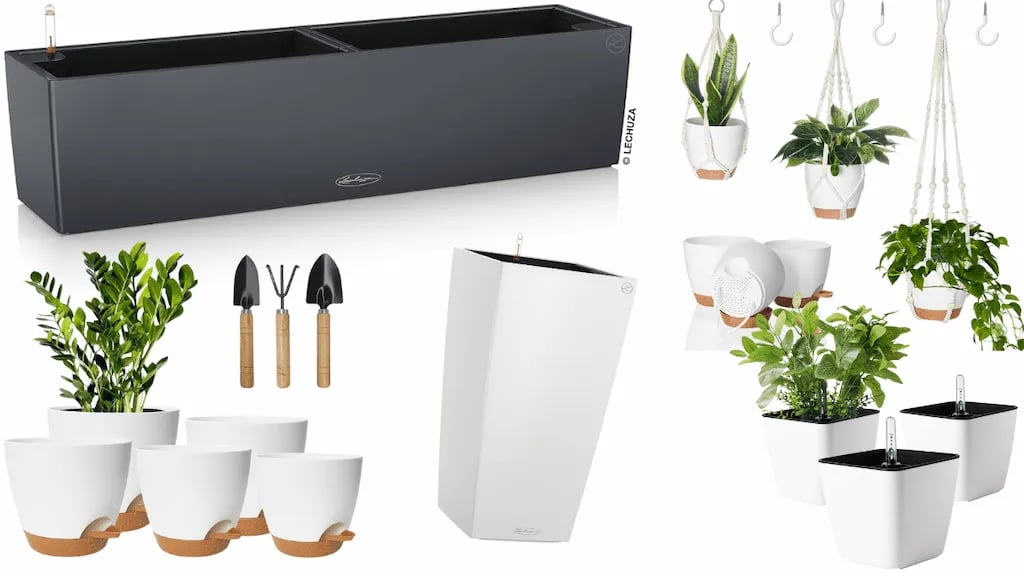 Selección de las mejores macetas de autorriego