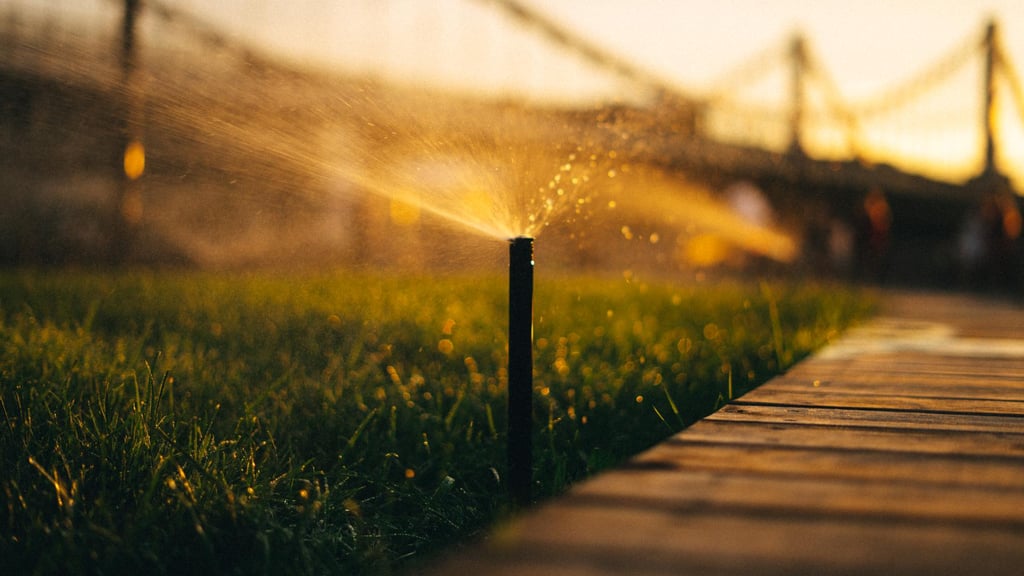 sprinkler winterization company 