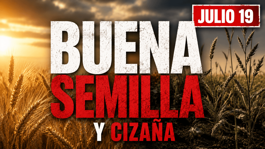 Evangelio de hoy Domingo 19 de Julio de 2026