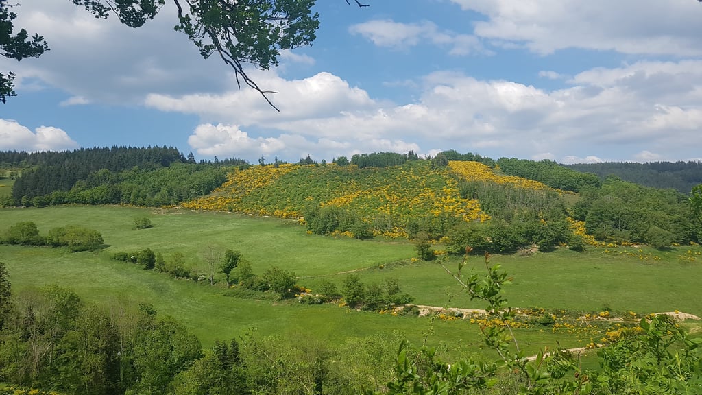 Vue du site aujourd'hui