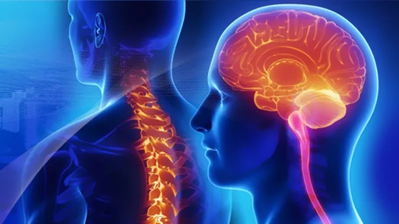 Fisioterapia neurológica y recuperación motora