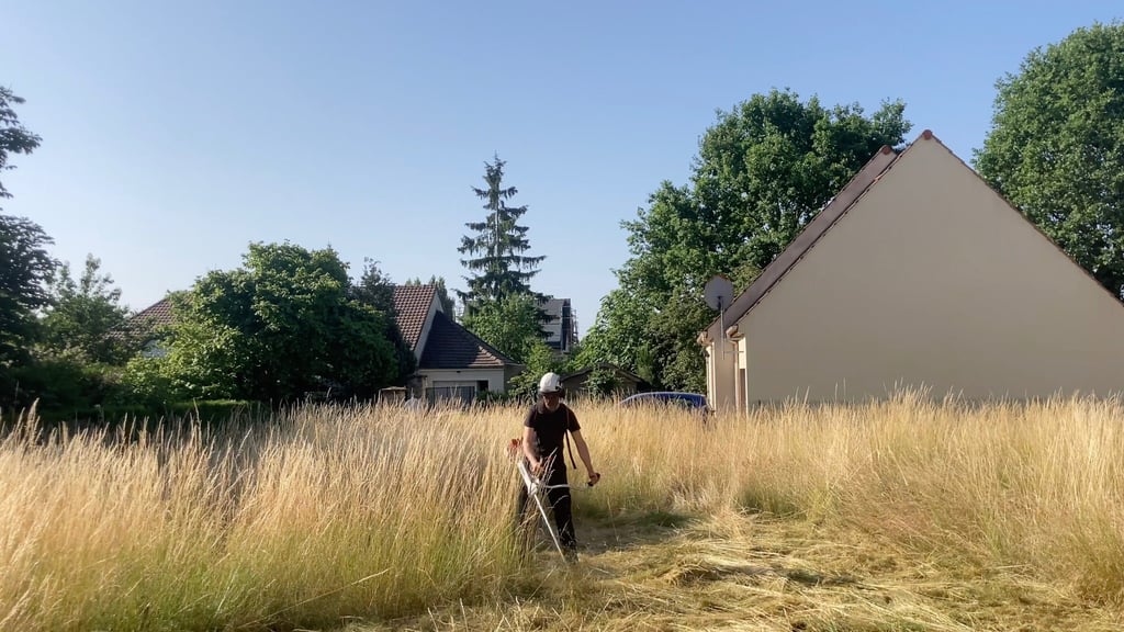 Débroussaillage à Soisy-sur-Seine et aux alentours.