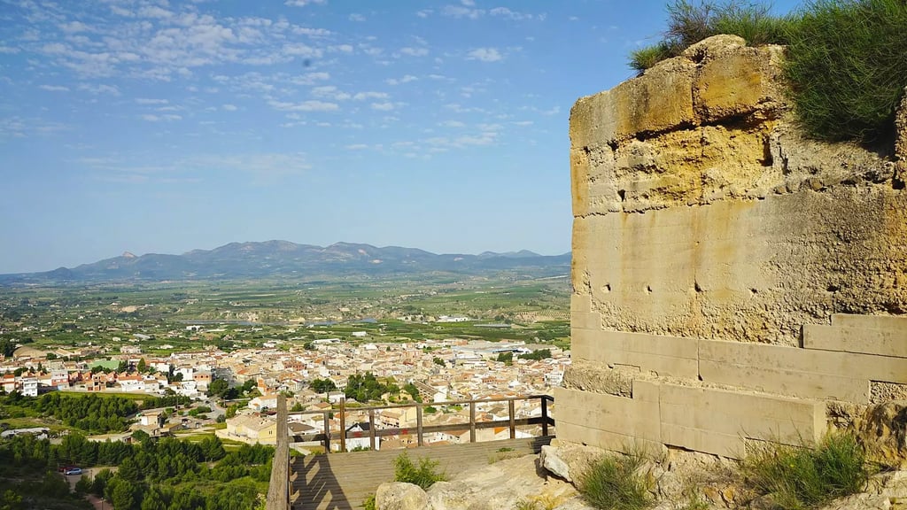 View of the town of Pliego from the hill on which its medieval castle stands. Photo from turismo.pli
