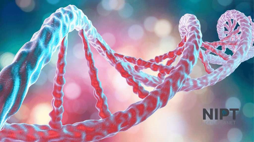 Prueba de ADN que una madre se hace mientras está en embarazo para conocer la salud de su bebé