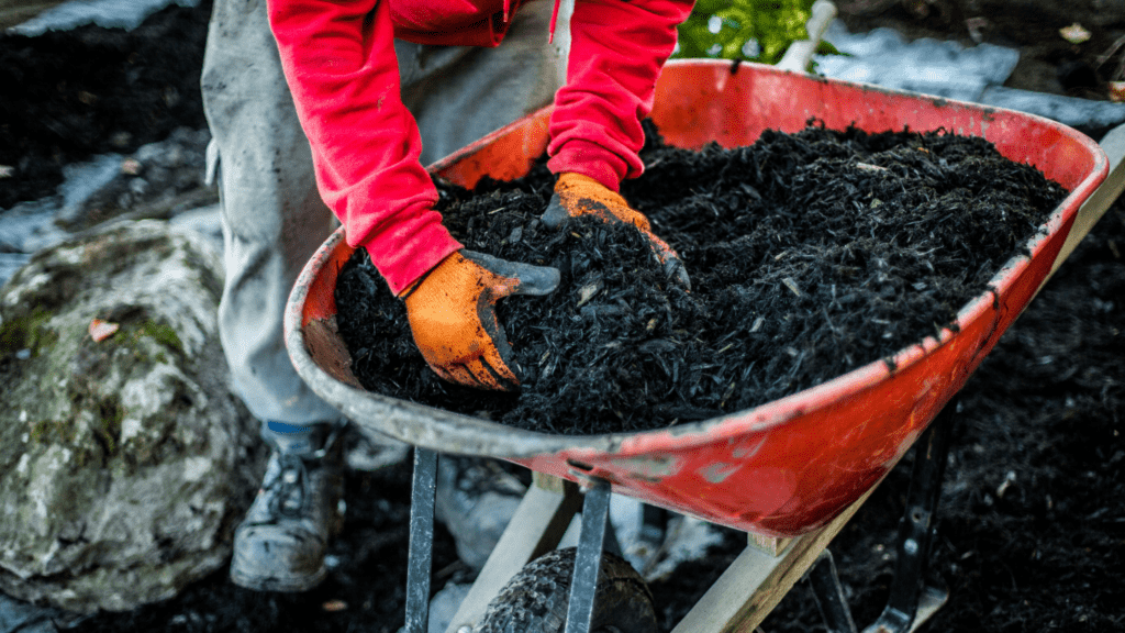 fresh mulch being installed 