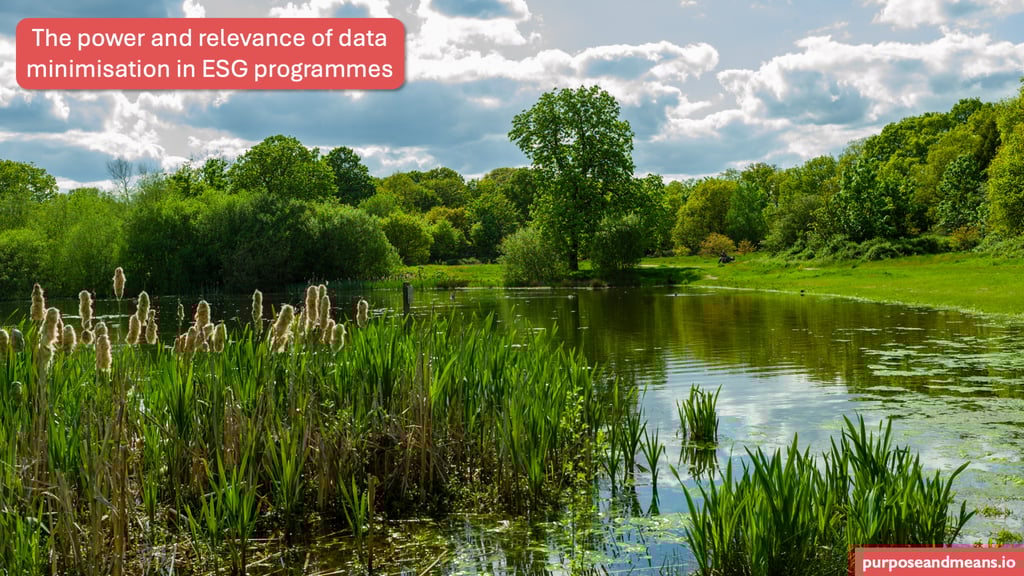 The power and relevance of data minimisation in ESG programmes