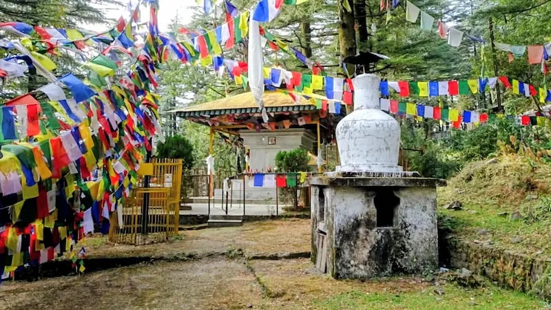 Peaceful atmosphere in Dharamkot village near Mcleodganj Himachal.