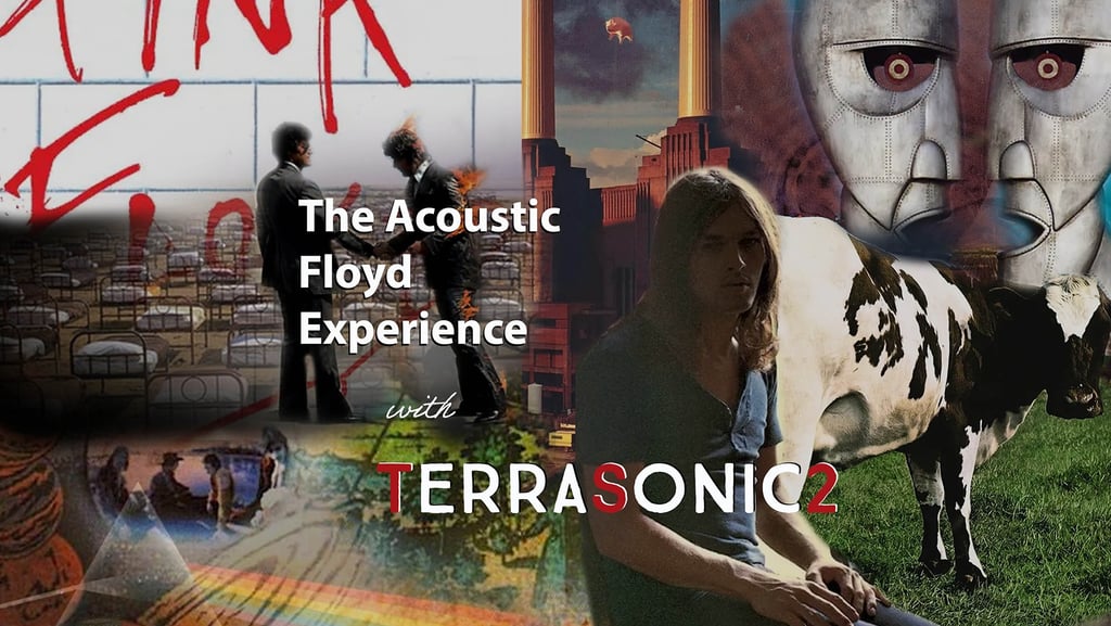 TerraSonic2, Acoustic Floyd Experience, Project, Rock Duo show, live