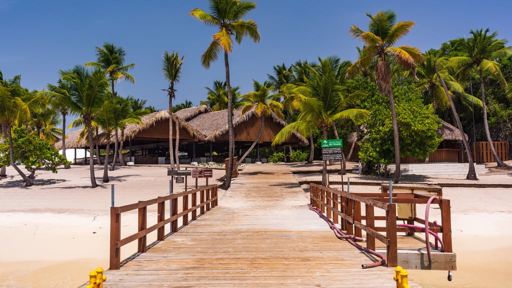 Wooden pier leading to Catalina Island beach with palm trees and thatched huts