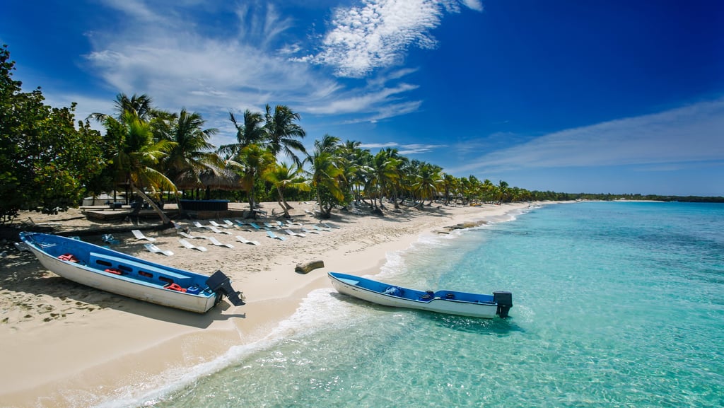 Sandy beach with palm trees and fishing boats on Catalina Island Caribbean coast.