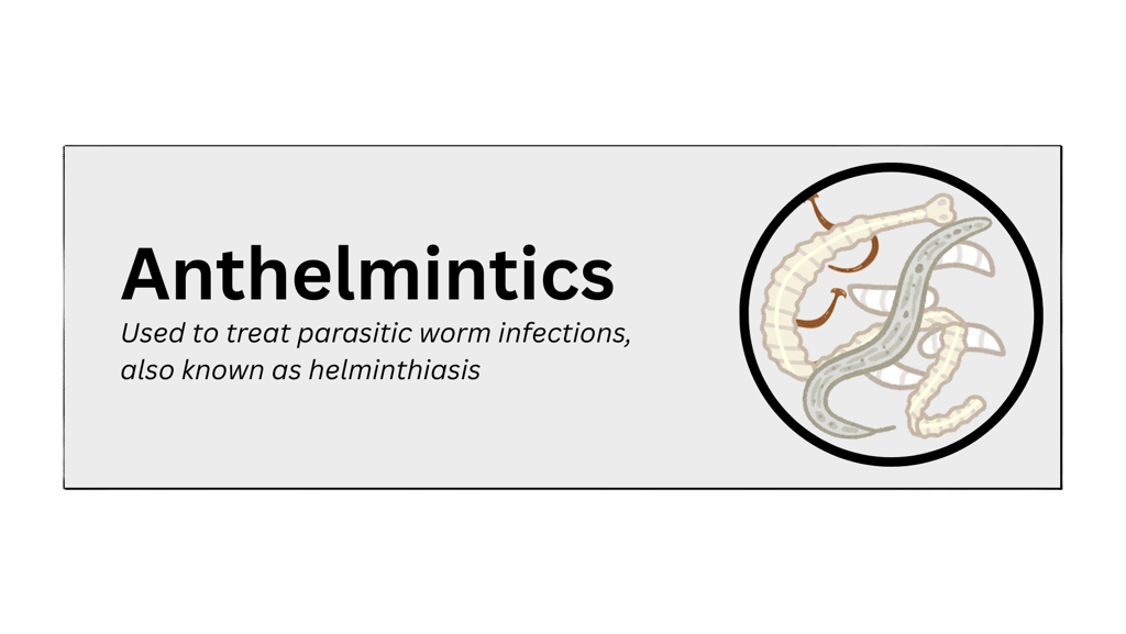 Anthelmintics pharmaceutical product type