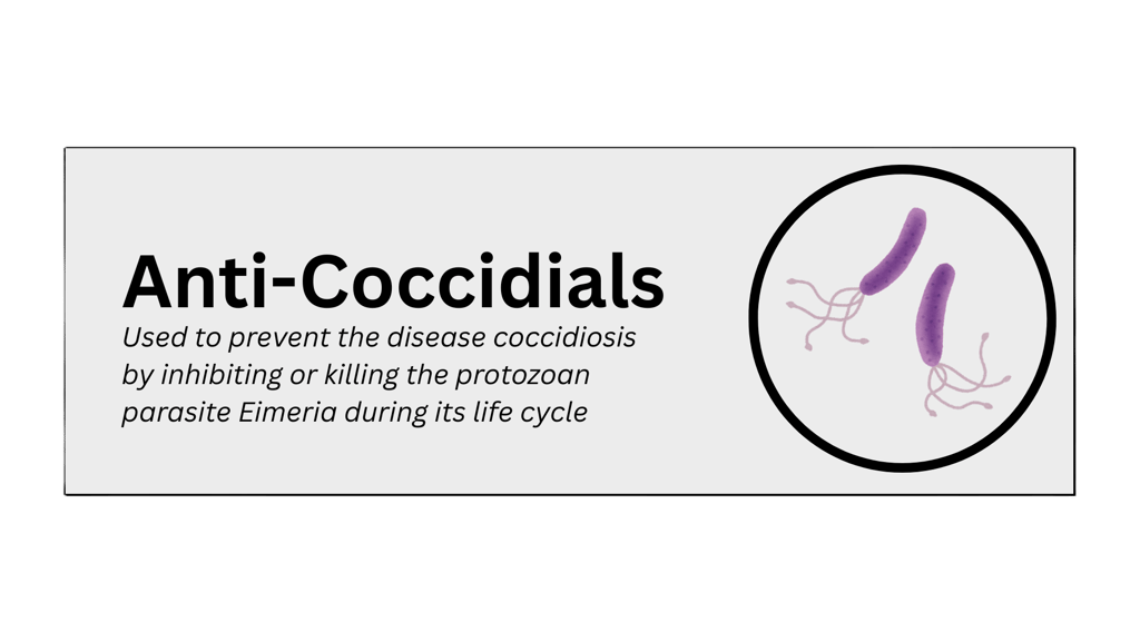 anti-coccidials pharmaceutical product type
