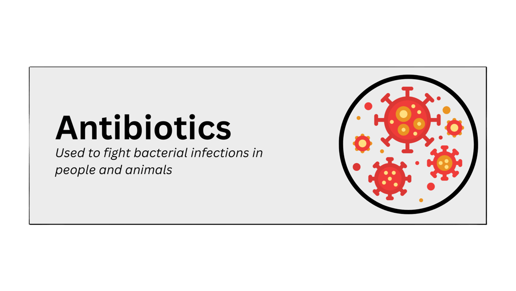 antibiotics pharmaceutical product type