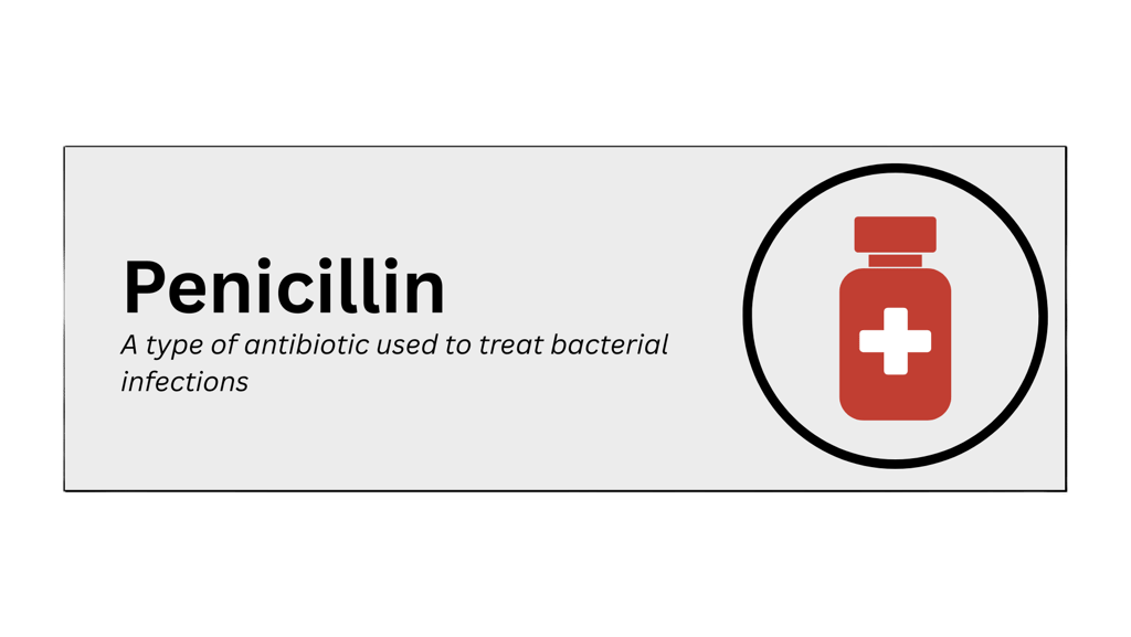 penicillin pharmaceutical product type