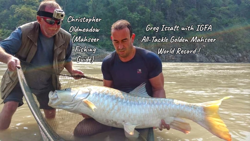 IGFA All-Tackle Golden Mahseer World Record.