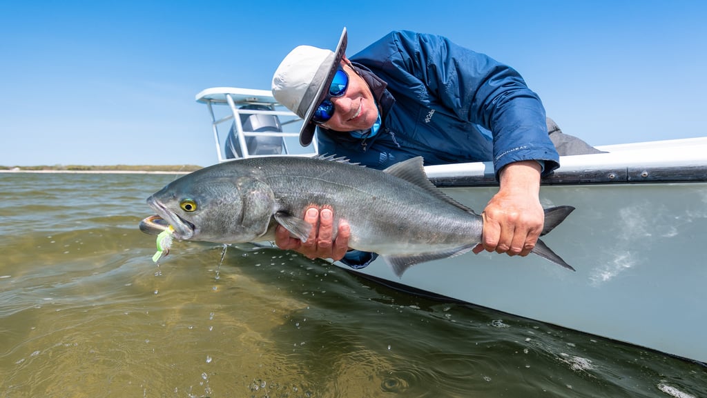 Bluefish on the fly