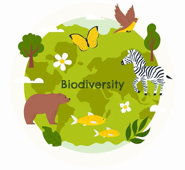 Protecting Biodiversity
