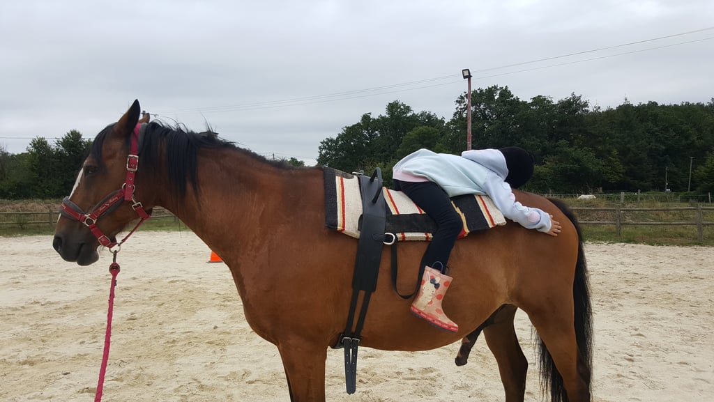 Enfant allongée sur le dos de son cheval lors d'une séance d'équithérapie