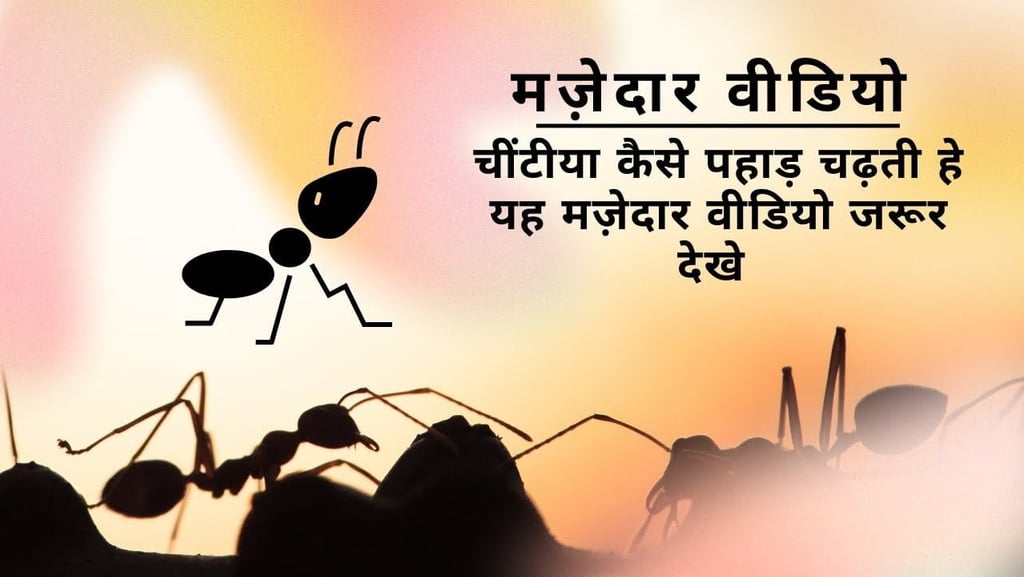 Chinti chadi Pahad par part 1