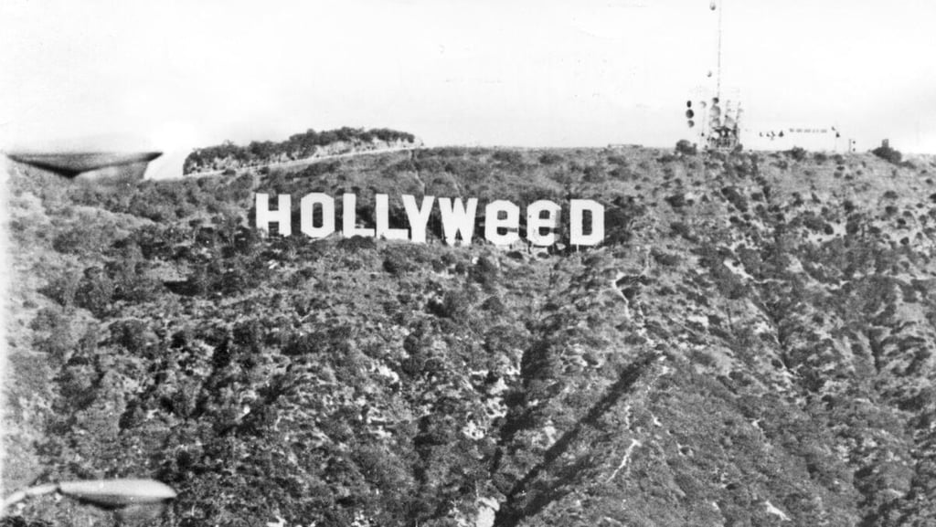 hollyweed-sign-los-angeles