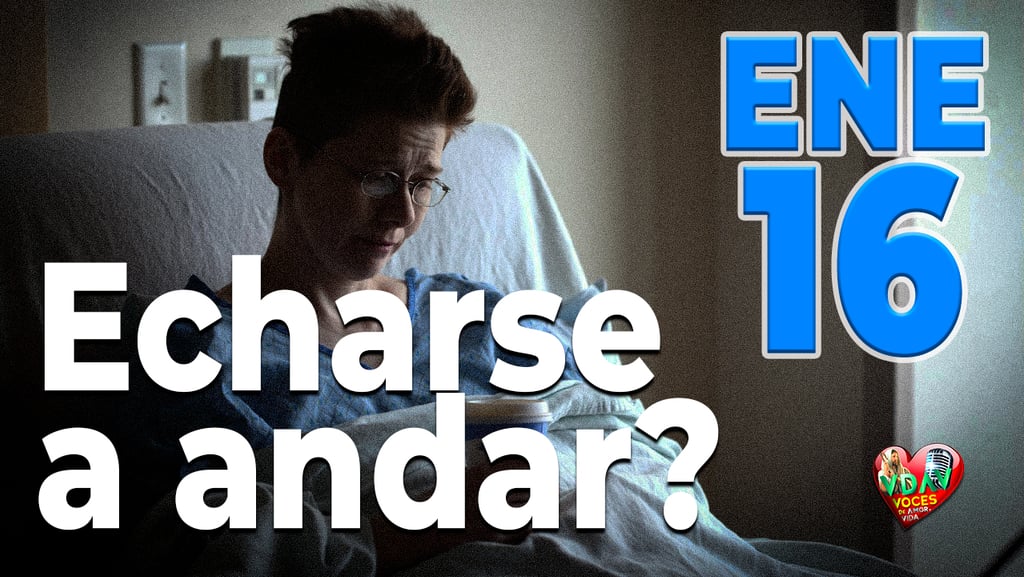 El evangelio de hoy la portada en Página de voces de amor y vida