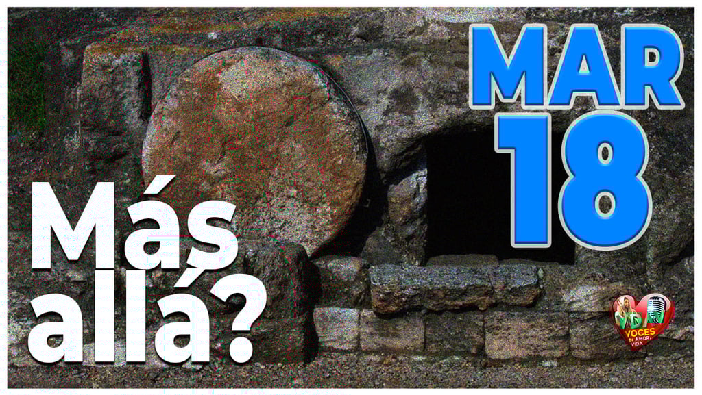 El evangelio de hoy la portada en Página de voces de amor y vida