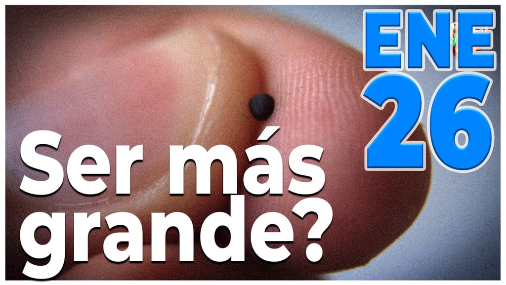 El evangelio de hoy la portada en Página de voces de amor y vida