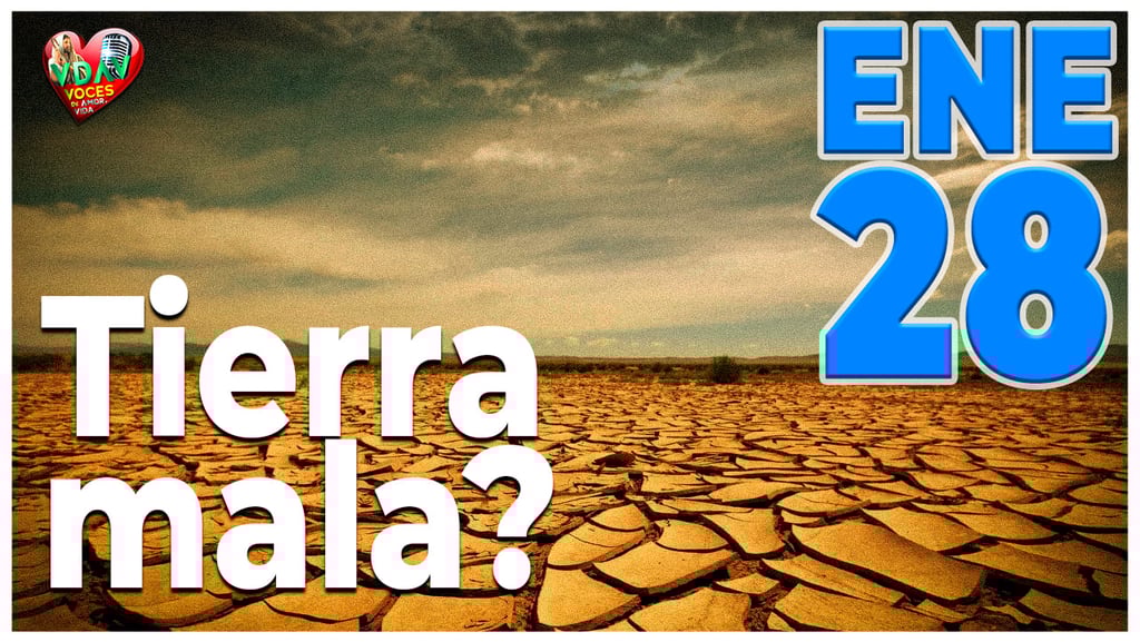 El evangelio de hoy la portada en Página de voces de amor y vida