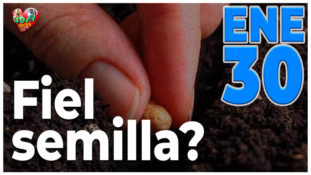 El evangelio de hoy la portada en Página de voces de amor y vida