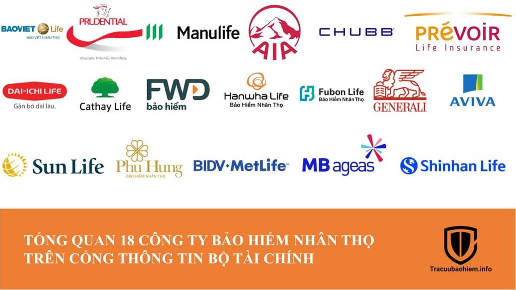Tổng quan về 18 các công ty bảo hiểm uy tín và dịch vụ tư vấn bảo hiểm