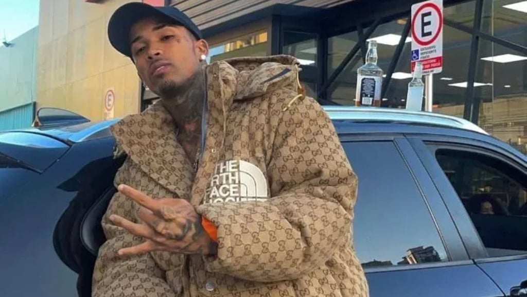 Gato preto encostado em um carro