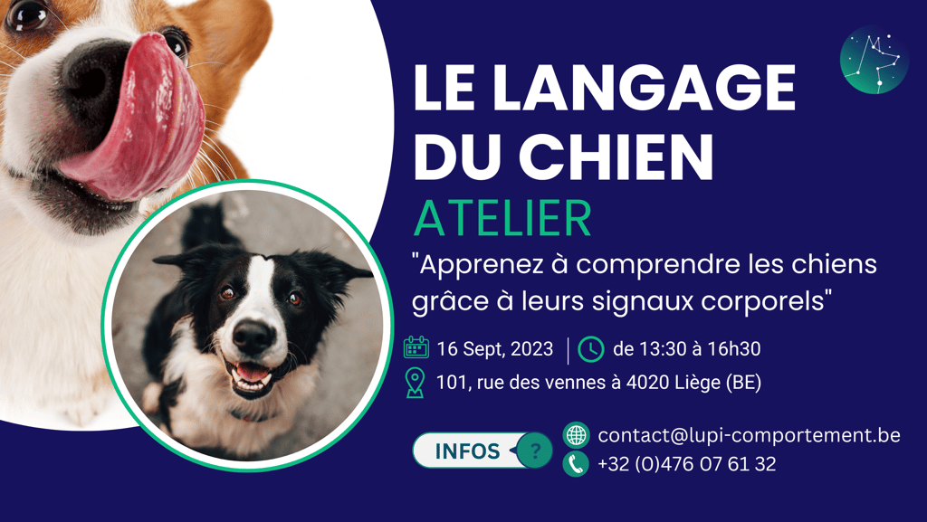 a dog with a tongue sticking out of its tongue