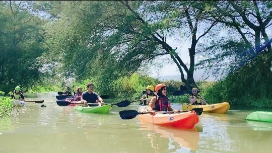 Paket Kano Maritim Mangrove
