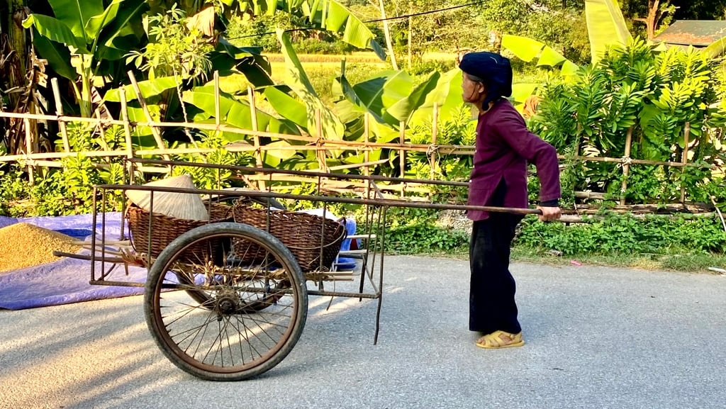a woman in a purple jacket is pulling a cartonce