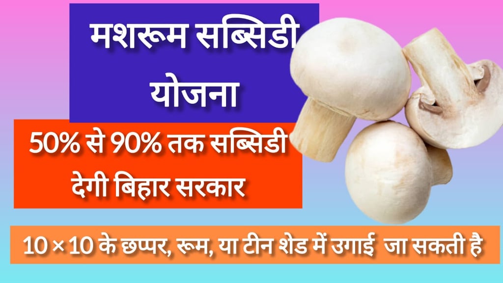 Mushroom Subsidy Yojana 2025