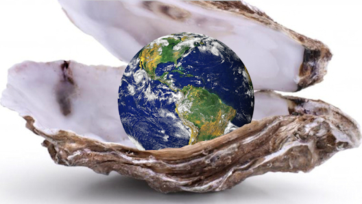 a globe inside an oyster shell