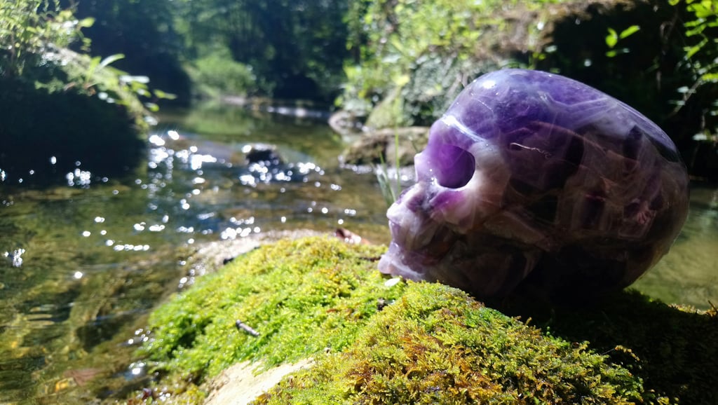 crâne de crista, rivière