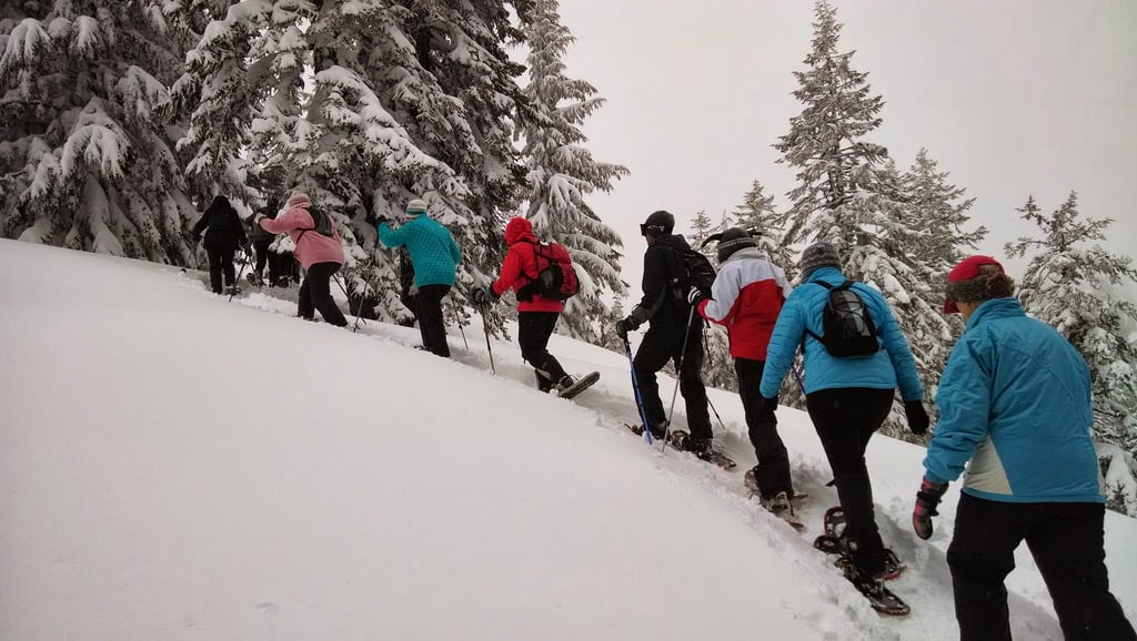 Grupo en actividad de raquetas de nieve